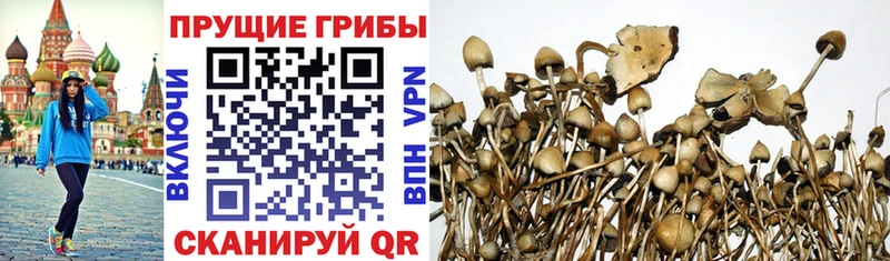 Купить  Ипатово  Галлюциногенные грибы мухоморы 